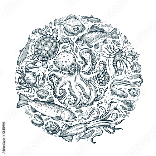 Cuadros en Lienzo marine animals, seafood. hand drawn sketches. vector illustration