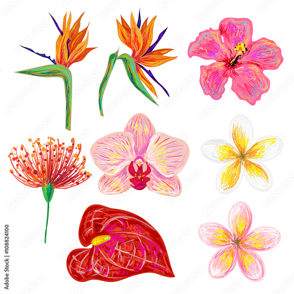 Exotic tropical flowers collection. Set of hand drawn tropical flowers ...