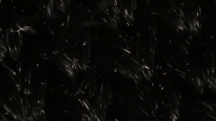 Black nylon mesh cloth fibers under the microscope.