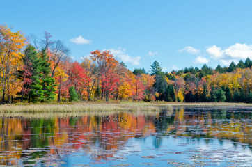 Wall Mural - Sunrise above forest lake