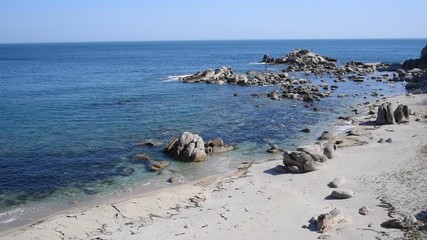 Wall Mural - Sea of Japan in the spring