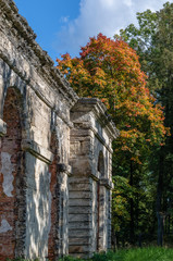 Ruins of old greenhouses on the background of autumn forest