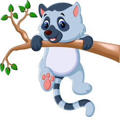 Wall Mural - Cute lemur cartoon