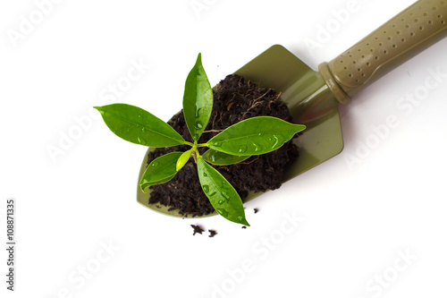 Small plant and soil in spade on white background - Buy this stock ...