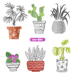 Set of hand drawn house plants in the pots isolated on white. Watercolor decorative elements. Collection of flowers. Vector illustration. 