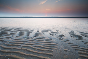 Wall Mural - beautiful sunset on north sea at low tide