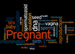 © kalpis - Pregnant, word cloud concept 6