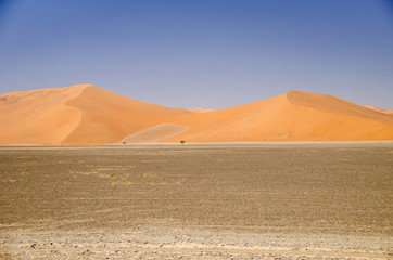  Dunes in  Namib Desert, Namibia.