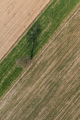 aerial view of  the harvest field