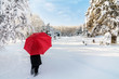 © Michael Shake - Snowy Winter Walk
