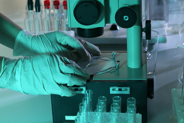 Wall Mural - scientist working with microscope closeup