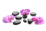 Fototapeta Storczyk - Black spa stones and orchids isolated on white