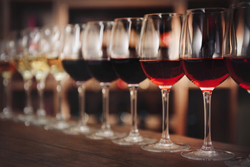 Wall Mural - Many glasses of different wine in a row on bar counter