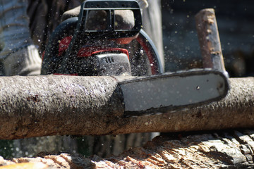 chainsaw to cut firewood