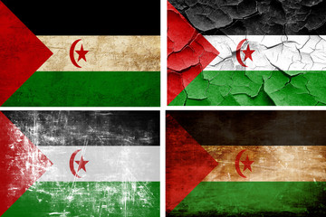Wall Mural - Western sahara flag collection. 4 different flags on white backg