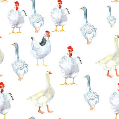 the pattern of chickens and goose w. The watercolor drawing. Can be used for postcards, prints and design
