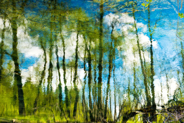  Trees and blue sky with clouds reflection on river