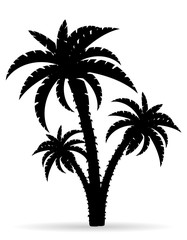 Wall Mural - palm tree black outline silhouette vector illustration