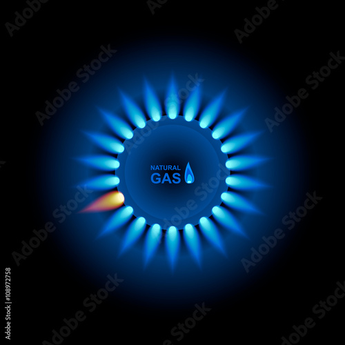 Fotografie, Obraz Gas flame with blue reflection. Vector background. EPS 10.