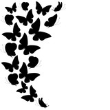 Fototapeta  - butterflies design