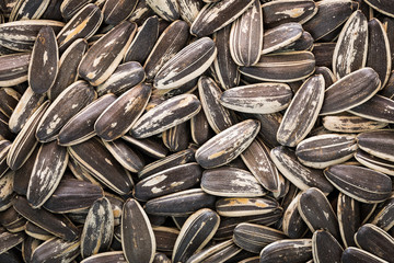 Dried salted sunflower seeds