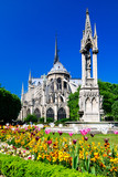 Fototapeta Paryż - La fontaine de la Vierge near Notre dame de Paris, France