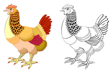 Wall Mural - Colorful and black and white pattern hen, vector cartoon image.