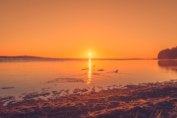 Wall Mural - lake sunrise with ducks