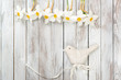 Narcissus flower, decorative bird on a light wooden background. Selective focus. Space for text.