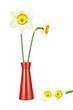 Four narcissus and vase isolated