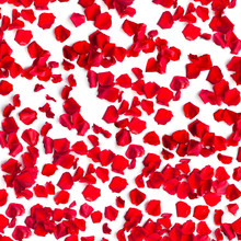 Red Rose Petals Background