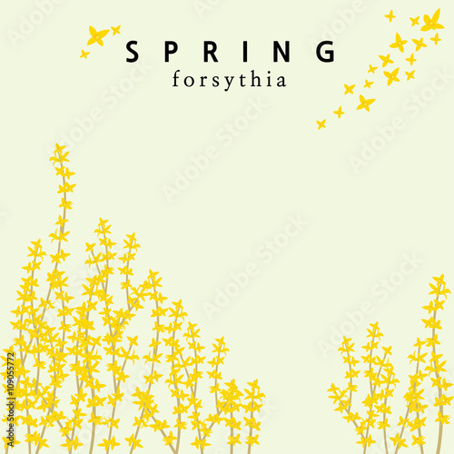 Fotomural A forsythia themed spring template