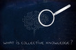 © faithie - electronic brain with magnifying glass, collective knowledge