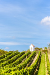 wayside near Hnanice with vineyard, Southern Moravia, Czech Repu