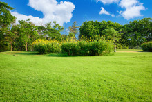 Green Lawn With Blue Sky In Park