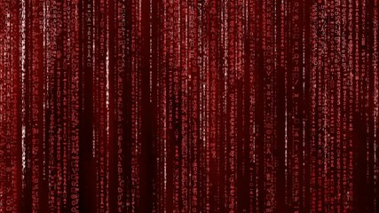 Wall Mural - Red animated matrix background, computer code with symbols and characters.