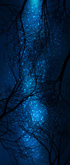 Wall Mural - vector trees silhouette with starry night sky. milky way galaxy