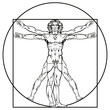 Leonardo Da Vinci vitruvian man