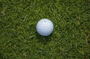 detail of golf ball on grass