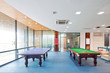 decoration and design of recreation in modern gym