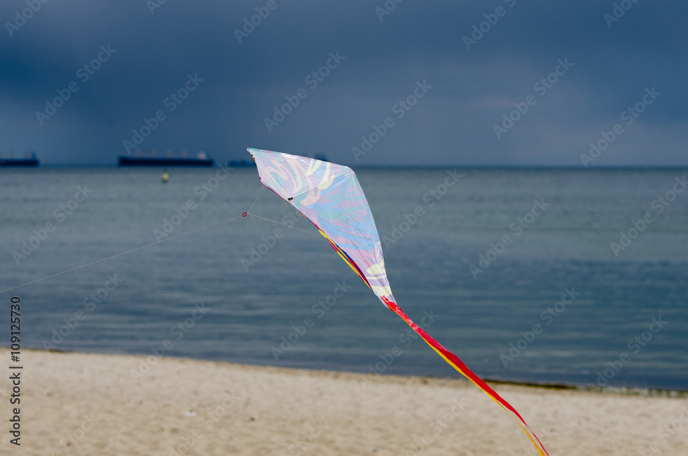 dziecko bawi się latawcem na plaży
 - obrazy, fototapety, plakaty 