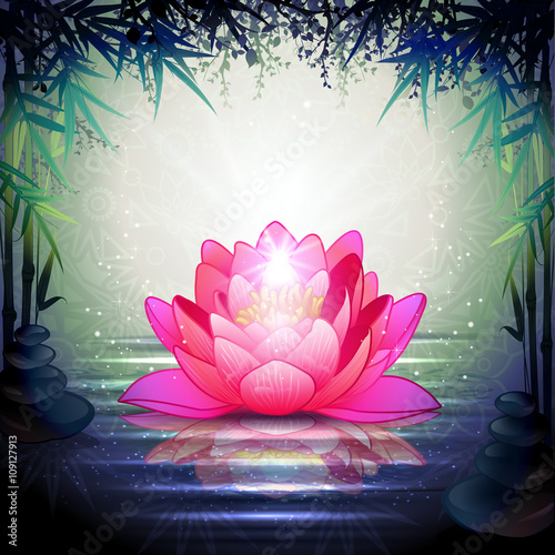 Photo Lotus Flowers in a Zen Garden