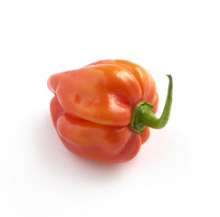 Poster - round red habanero pepper on a white background with a soft shad