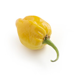 Poster - round yellow habanero pepper on a white background with a soft s