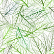 Nahtloser Hintergrund aus Laub Avokadoblätter