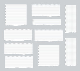 Poster - Pieces of torn white lined, squared notebook paper are stuck on gray background