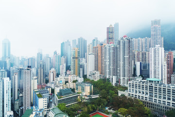 Wall Mural - aerial view of hongkong,china.