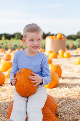 Canvas Print - boy at pumpkin patch