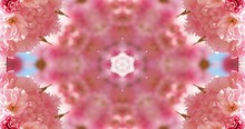 桜の万華鏡,ピンク,4K