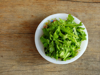 Canvas Print - fresh coriander on a wooden table